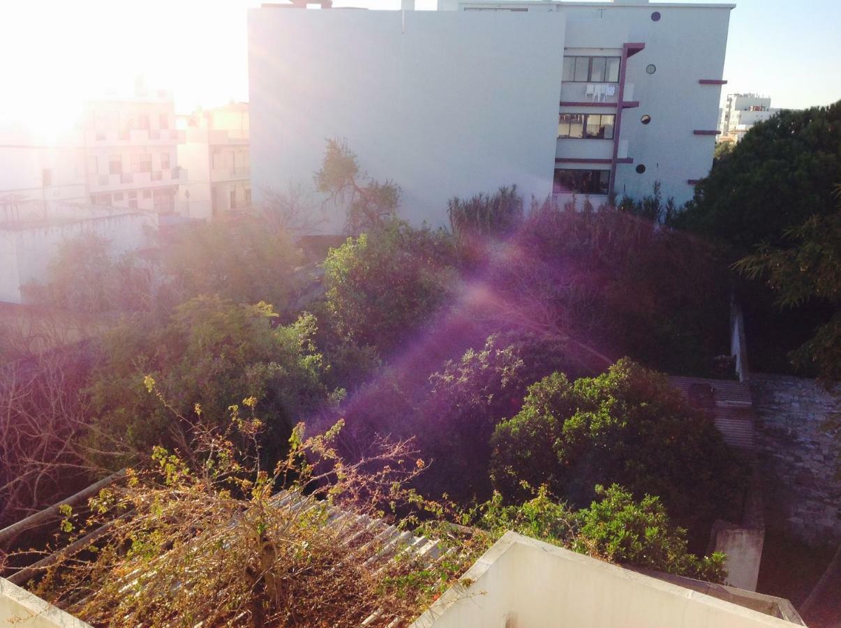 São Brás de AlportelPensao Algarve住宿加早餐旅馆 外观 照片